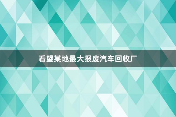 看望某地最大报废汽车回收厂