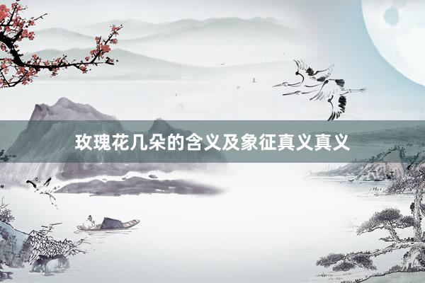 玫瑰花几朵的含义及象征真义真义