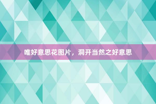 唯好意思花图片，洞开当然之好意思