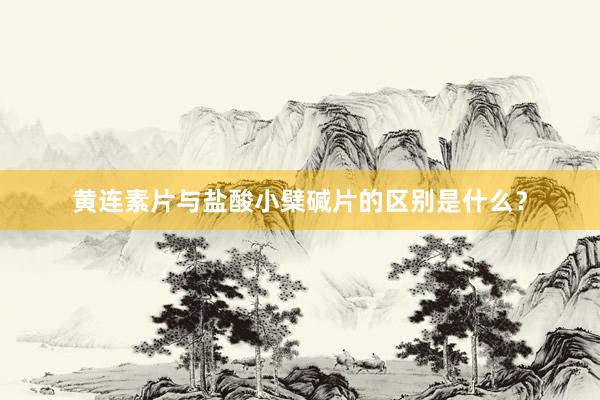 黄连素片与盐酸小檗碱片的区别是什么？